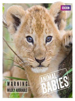 cover image of Animal Babies